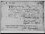 Mary Willingale birth registration card
